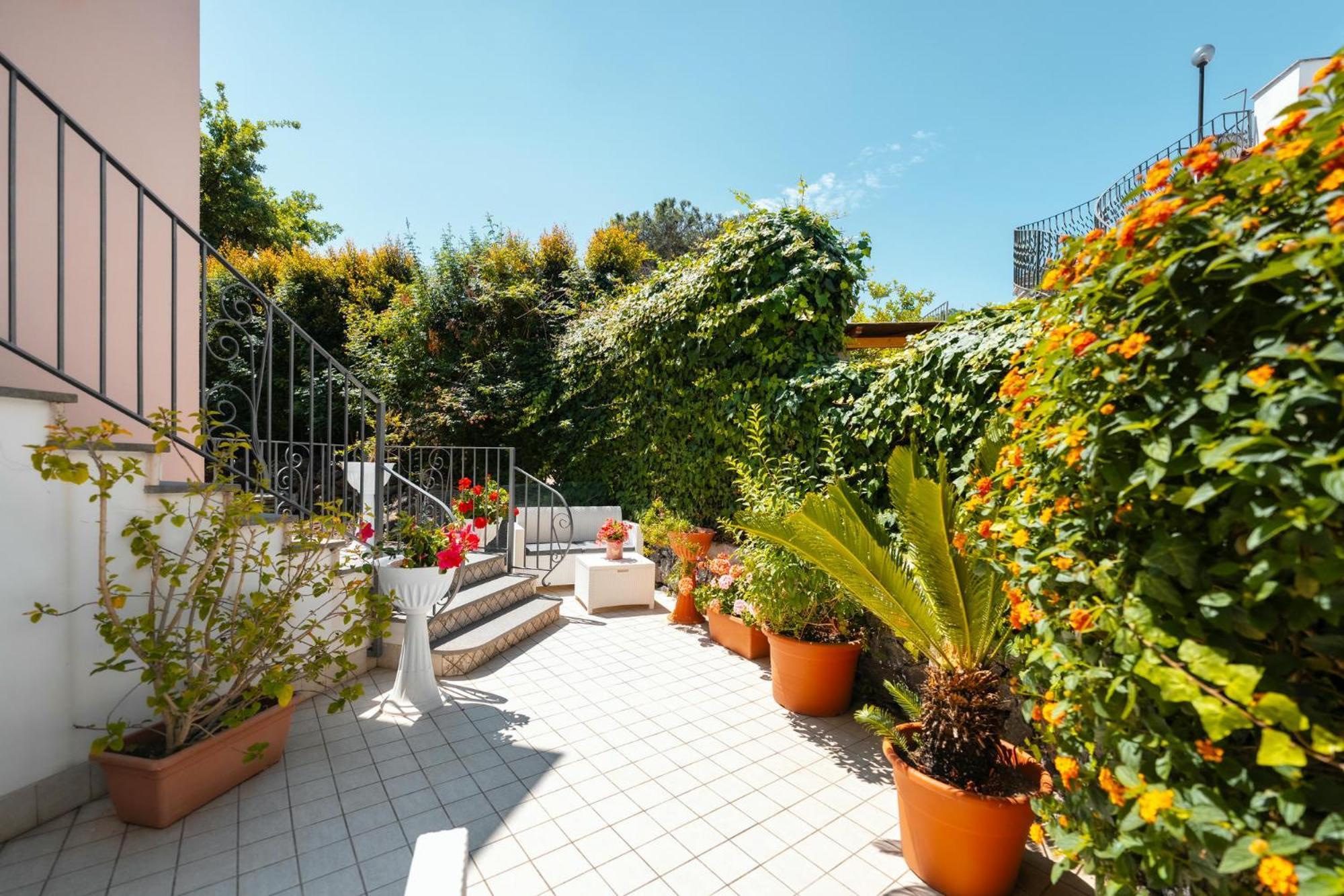 La Vispa Teresa Ischia Exteriör bild